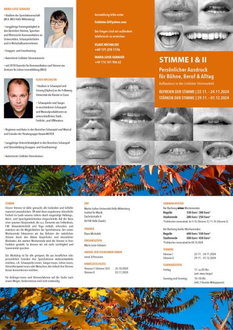 Faltblatt Stimme