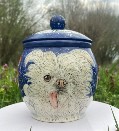 handbemalte Urne für einen Hund mit nur einem Auge und Nachthimmel Hintergrund